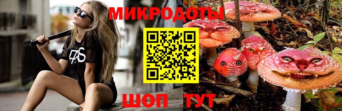 Сальск  где купить наркоту  Вход с VPN  Галлюциногенные грибы Cubensis  Псилоцибиновые грибы ЛСД 